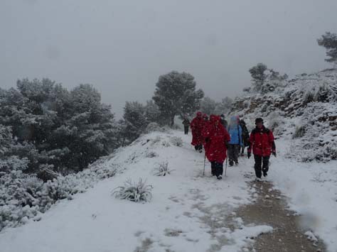 100304_Mallorca_Nord_378