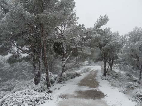 100304_Mallorca_Nord_380