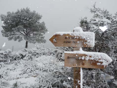 100304_Mallorca_Nord_381