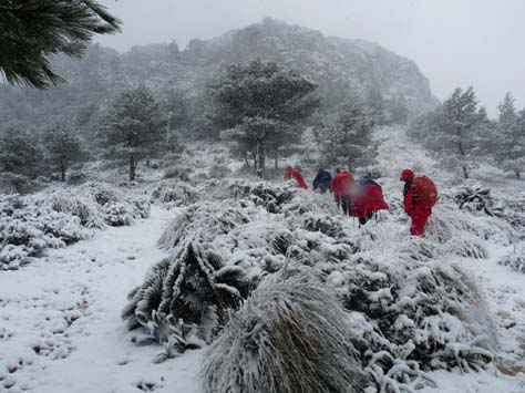 100304_Mallorca_Nord_383