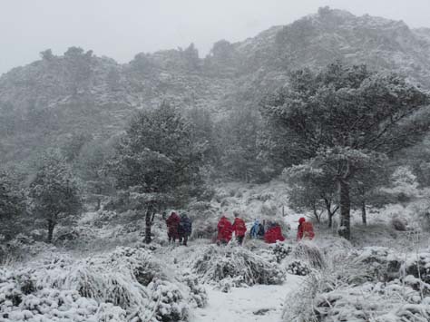 100304_Mallorca_Nord_385