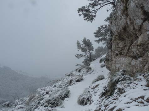 100304_Mallorca_Nord_389