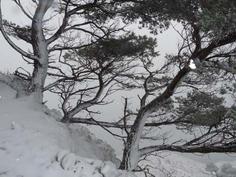 100304_Mallorca_Nord_392