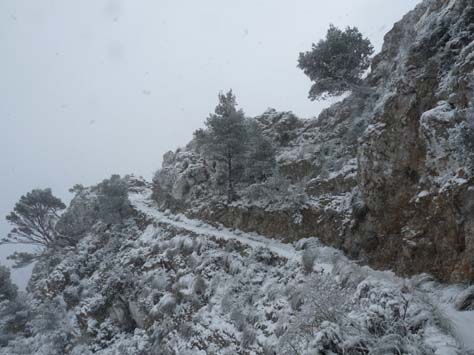 100304_Mallorca_Nord_393