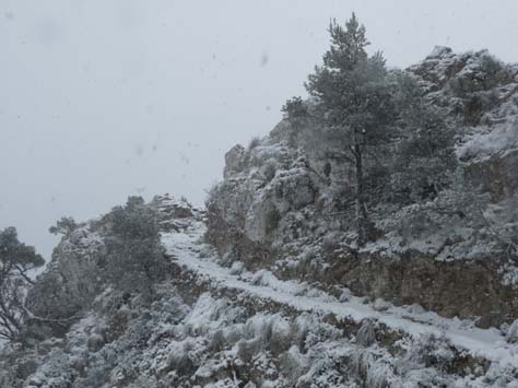 100304_Mallorca_Nord_394