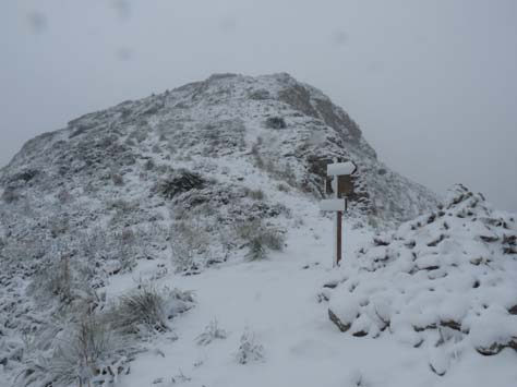 100304_Mallorca_Nord_395