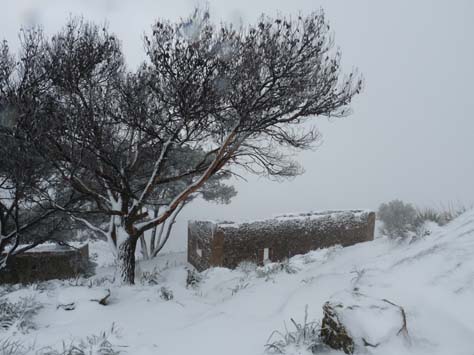 100304_Mallorca_Nord_409