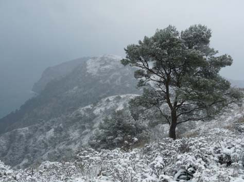 100304_Mallorca_Nord_417