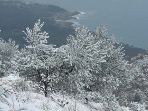 100304_Mallorca_Nord_427