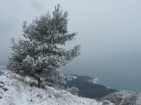 100304_Mallorca_Nord_431