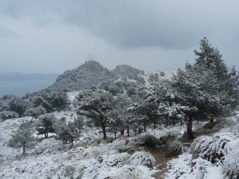 100304_Mallorca_Nord_433