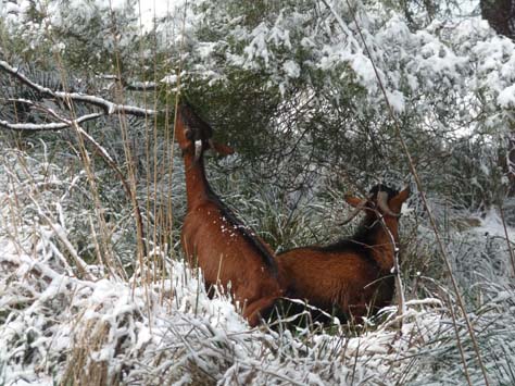 100304_Mallorca_Nord_436