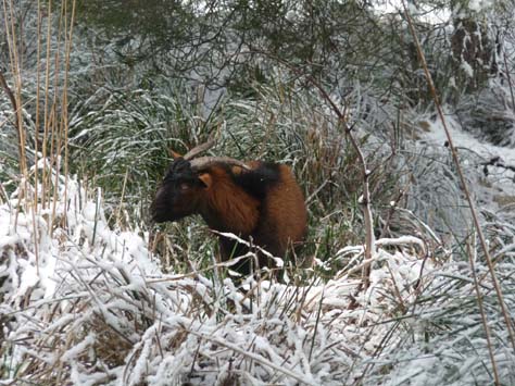 100304_Mallorca_Nord_438