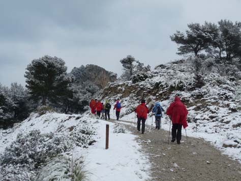 100304_Mallorca_Nord_442