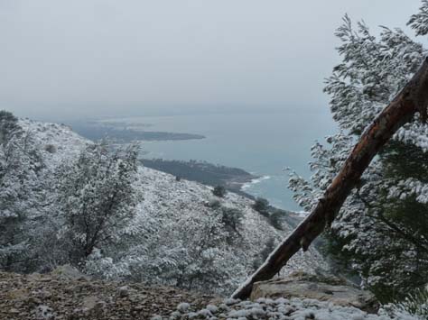 100304_Mallorca_Nord_443