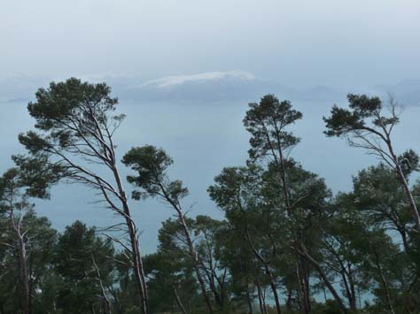 100304_Mallorca_Nord_444