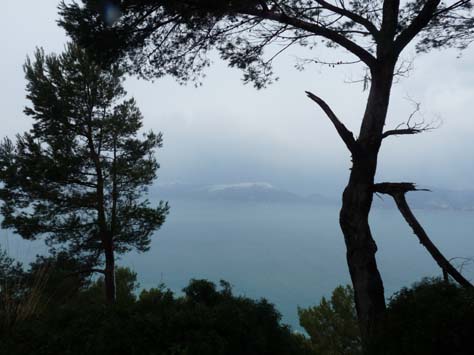 100304_Mallorca_Nord_448