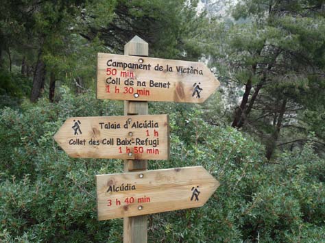 100304_Mallorca_Nord_462