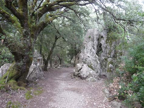 100304_Mallorca_Nord_188