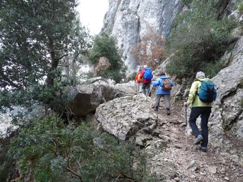 100304_Mallorca_Nord_200