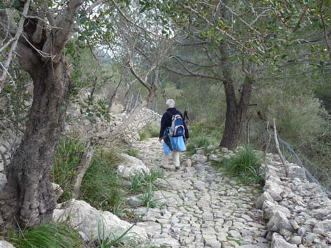 100304_Mallorca_Nord_221