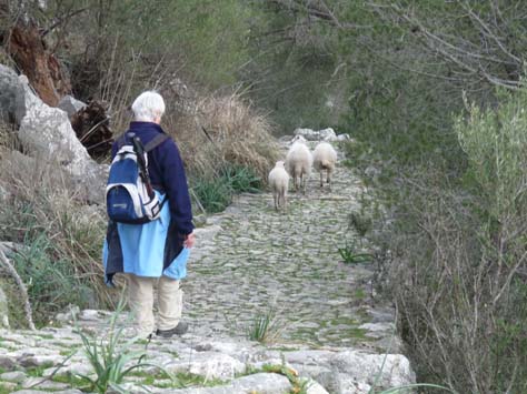 100304_Mallorca_Nord_222