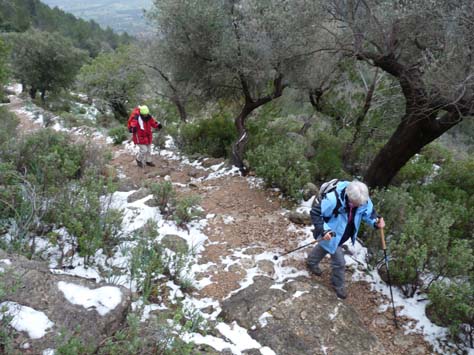 100304_Mallorca_Nord_293