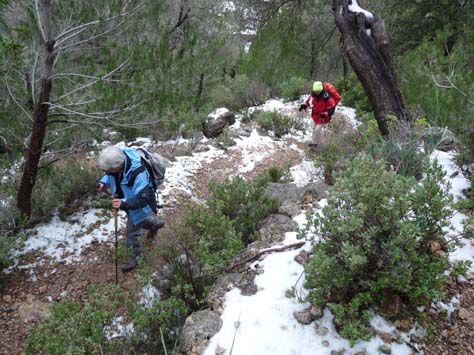 100304_Mallorca_Nord_294