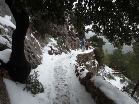 100304_Mallorca_Nord_333