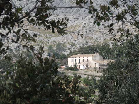 100304_Mallorca_Nord_225