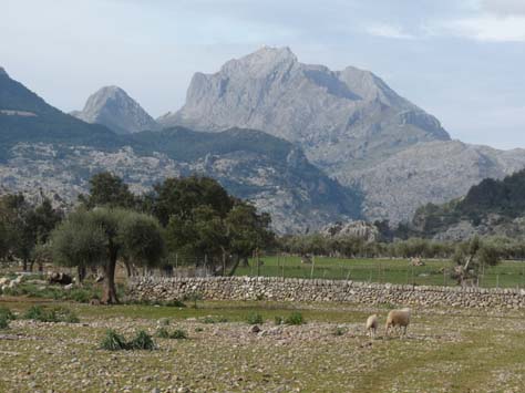 100304_Mallorca_Nord_229