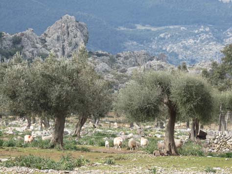 100304_Mallorca_Nord_233