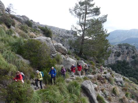 100304_Mallorca_Nord_234