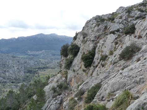 100304_Mallorca_Nord_236