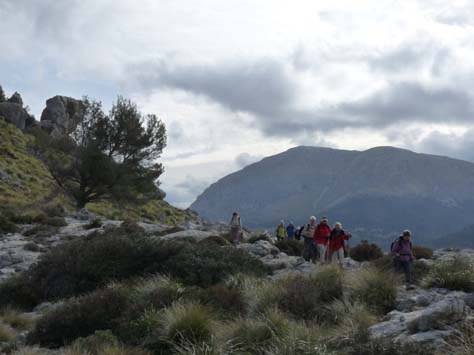 100304_Mallorca_Nord_243
