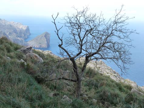 100304_Mallorca_Nord_258