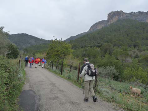 100304_Mallorca_Nord_291