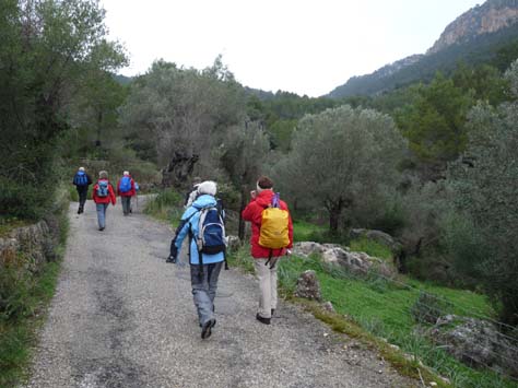 100304_Mallorca_Nord_292