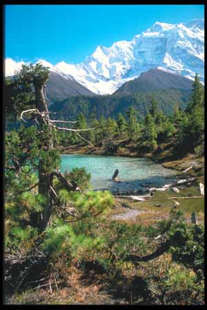 Manang-Tal, Annapurna, Nepal