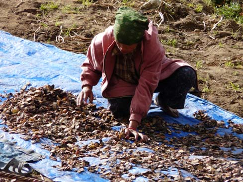 40259_Namche_Tengboche_Pangboche