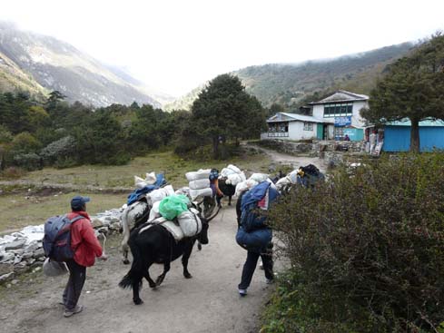 40333_Namche_Tengboche_Pangboche