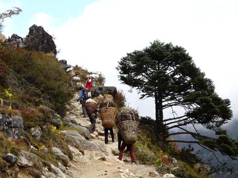 40341_Namche_Tengboche_Pangboche