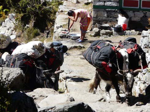 40402_Pangboche_Dingboche