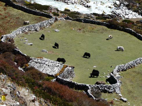 40413_Pangboche_Dingboche