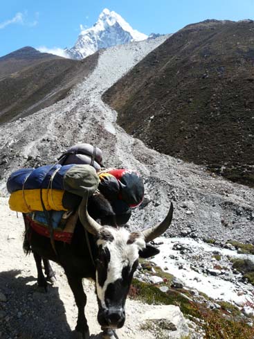 40434_Pangboche_Dingboche