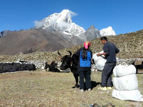 40476_Dingboche_Chukung