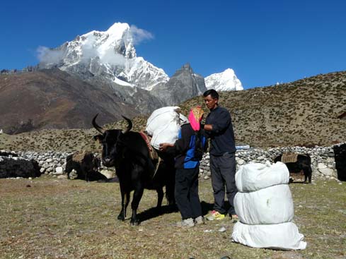 40479_Dingboche_Chukung