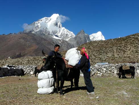 40480_Dingboche_Chukung