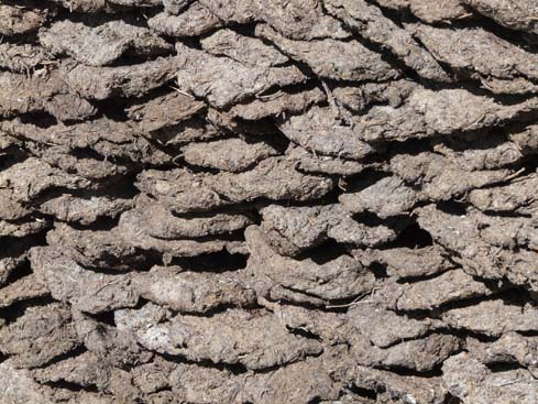 40530_Dingboche_Chukung