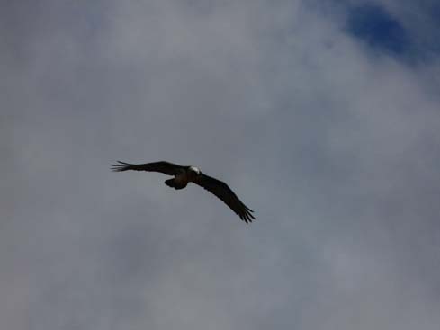 40531_Dingboche_Chukung